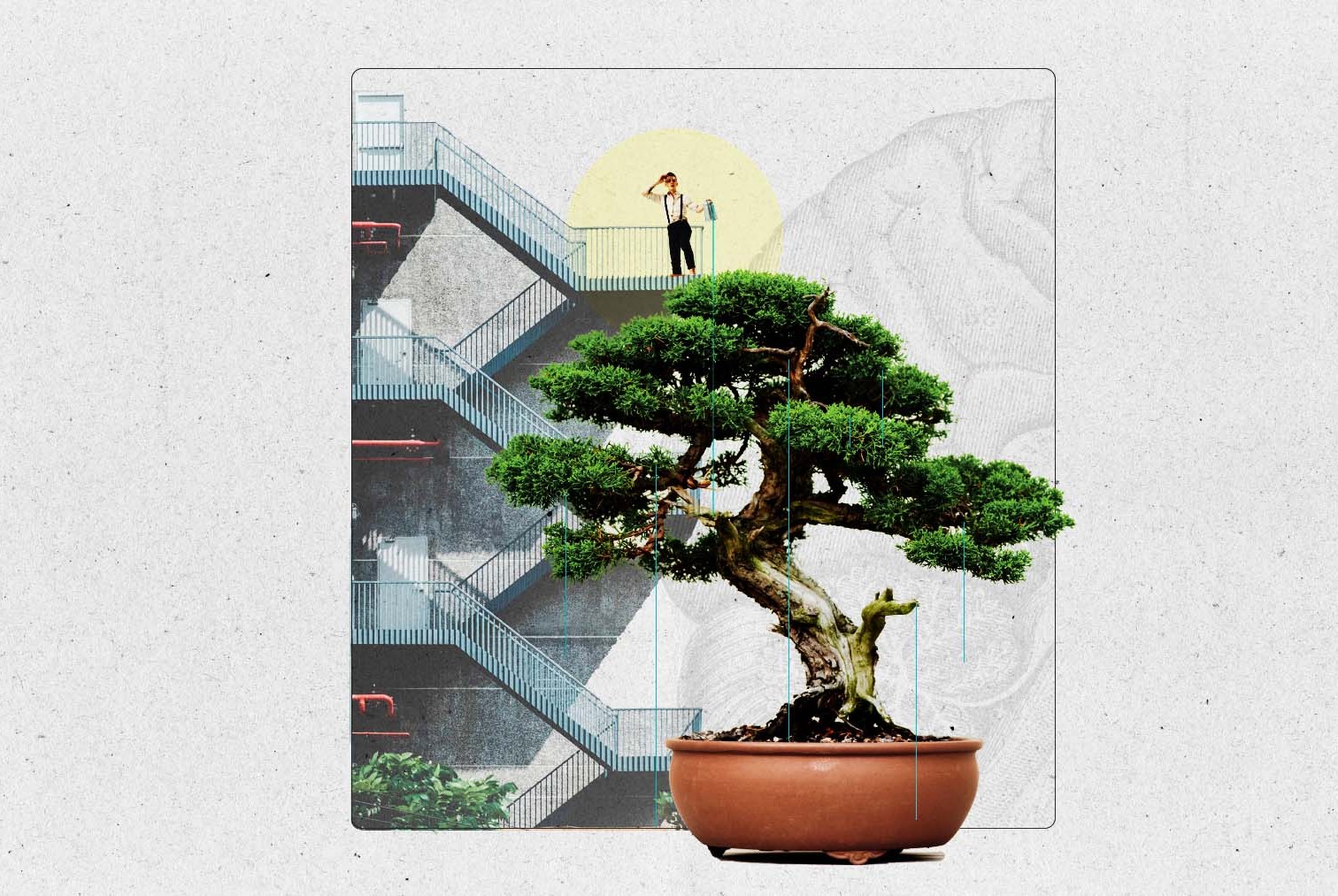 Bonsai Therapy: The Mental Health Benefits of Caring for Miniature Trees in 2026