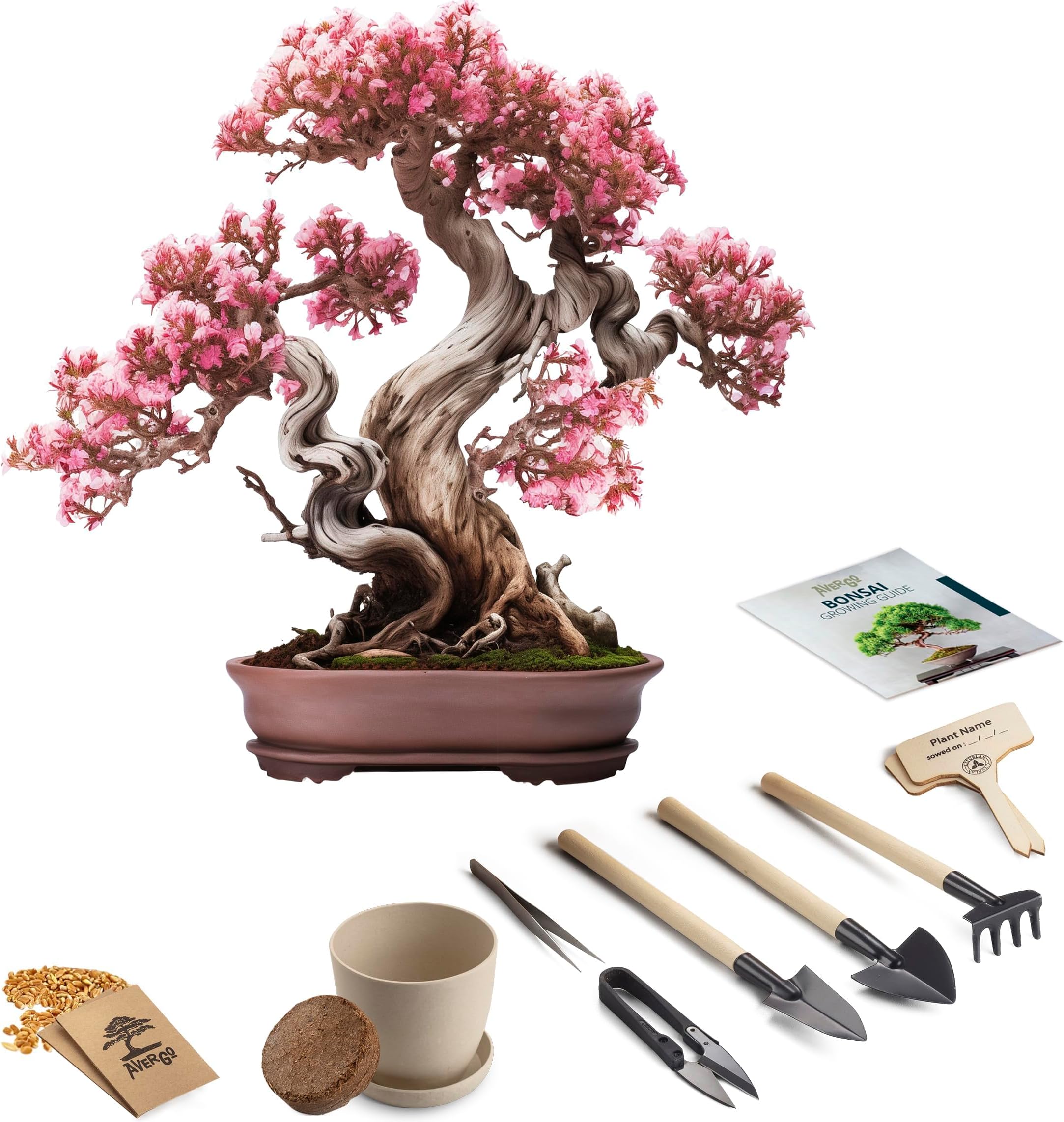 The Indoor Bonsai Revolution