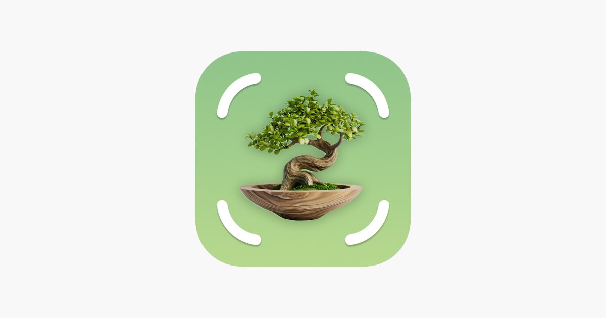 Smart Bonsai Care: How AI-Powered Apps Are Revolutionizing Bonsai Tree Maintenance in 2026