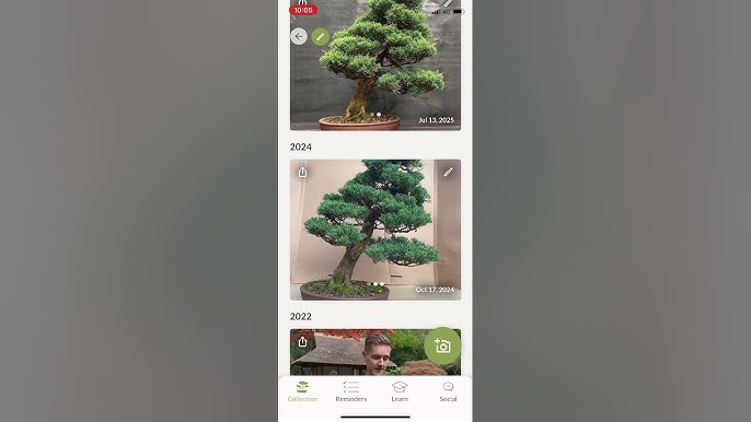 Smart Bonsai Care: How AI-Powered Apps Are Revolutionizing Bonsai Tree Maintenance in 2026