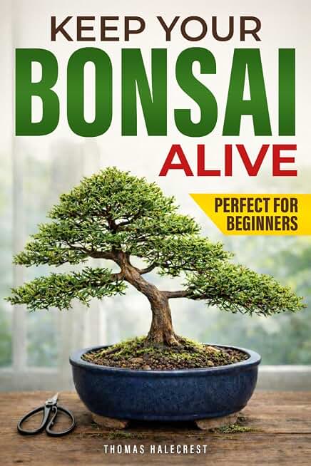 bonsaiforbeginners accessory