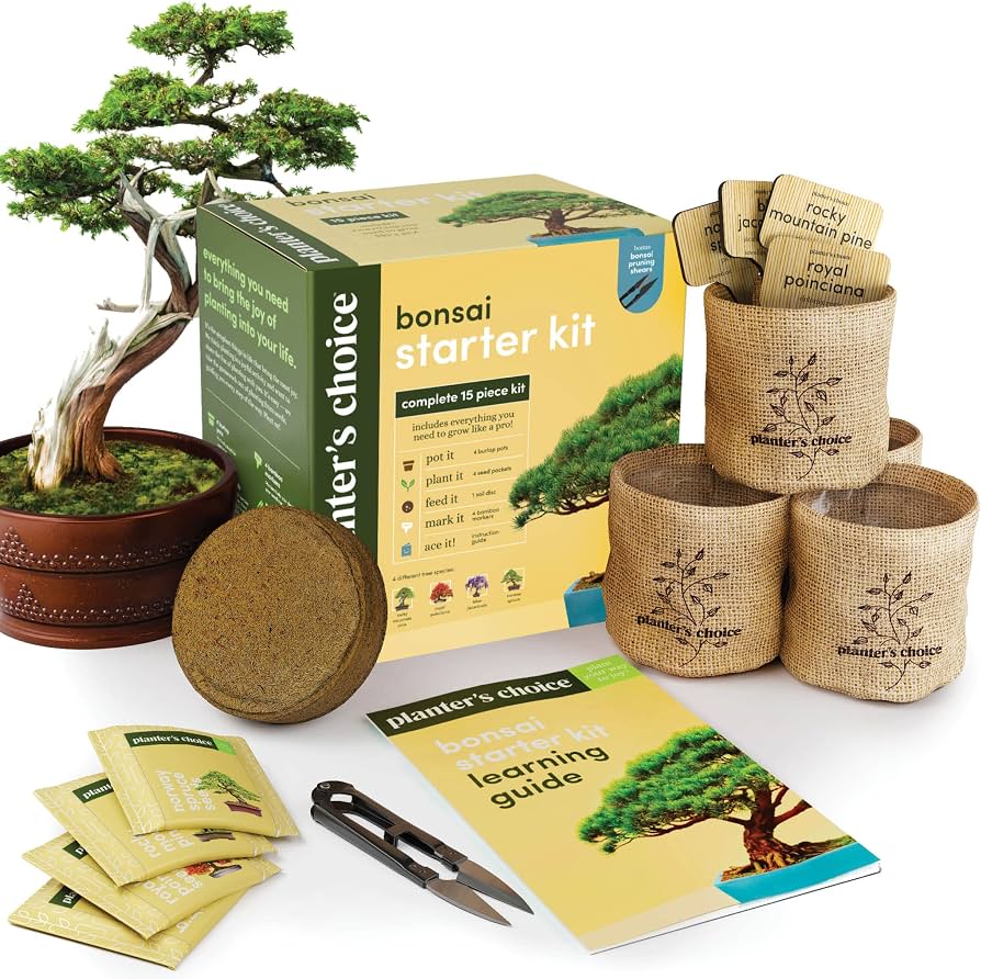 Bonsai for beginners starter pick