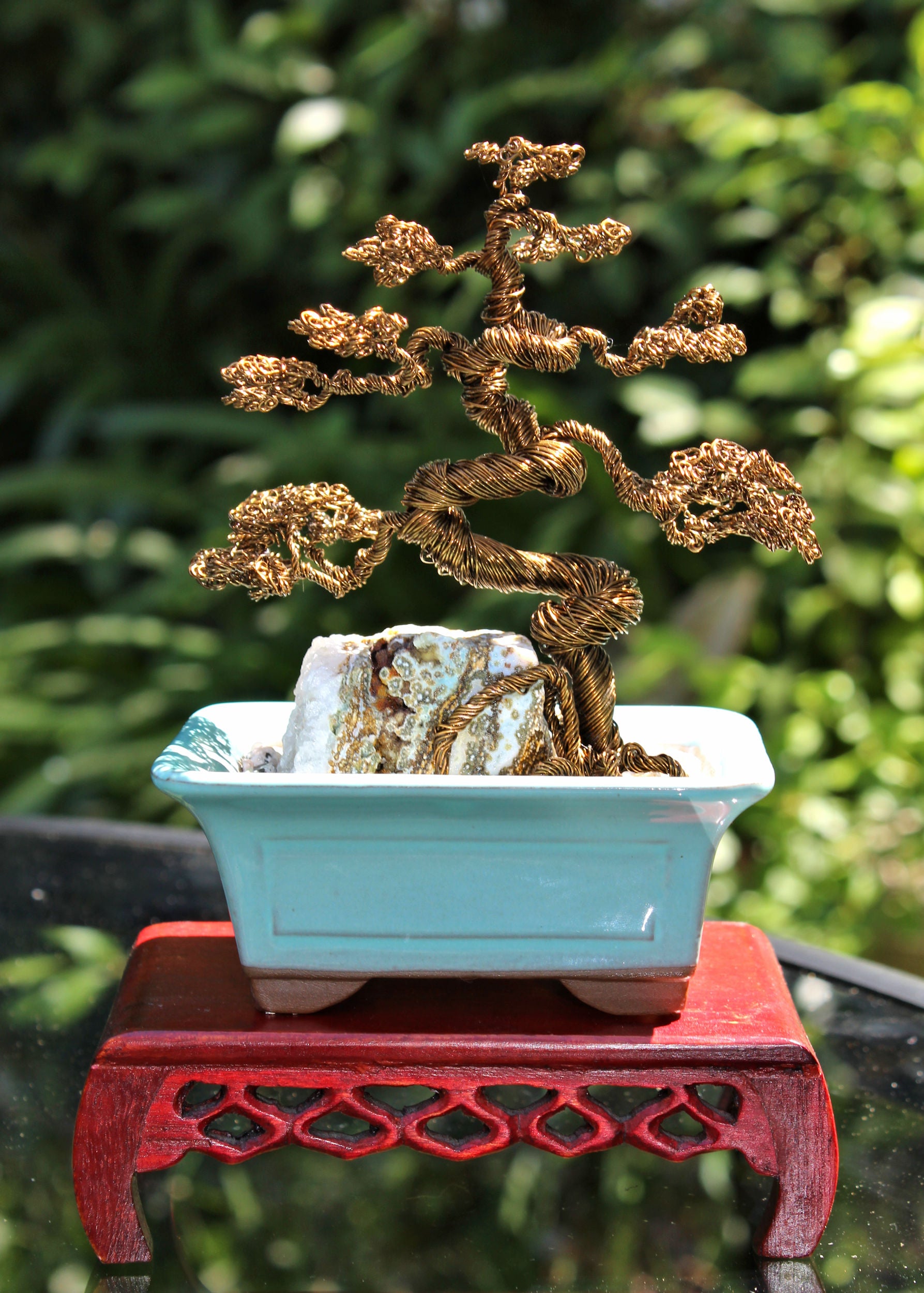 Informal Upright Bonsai