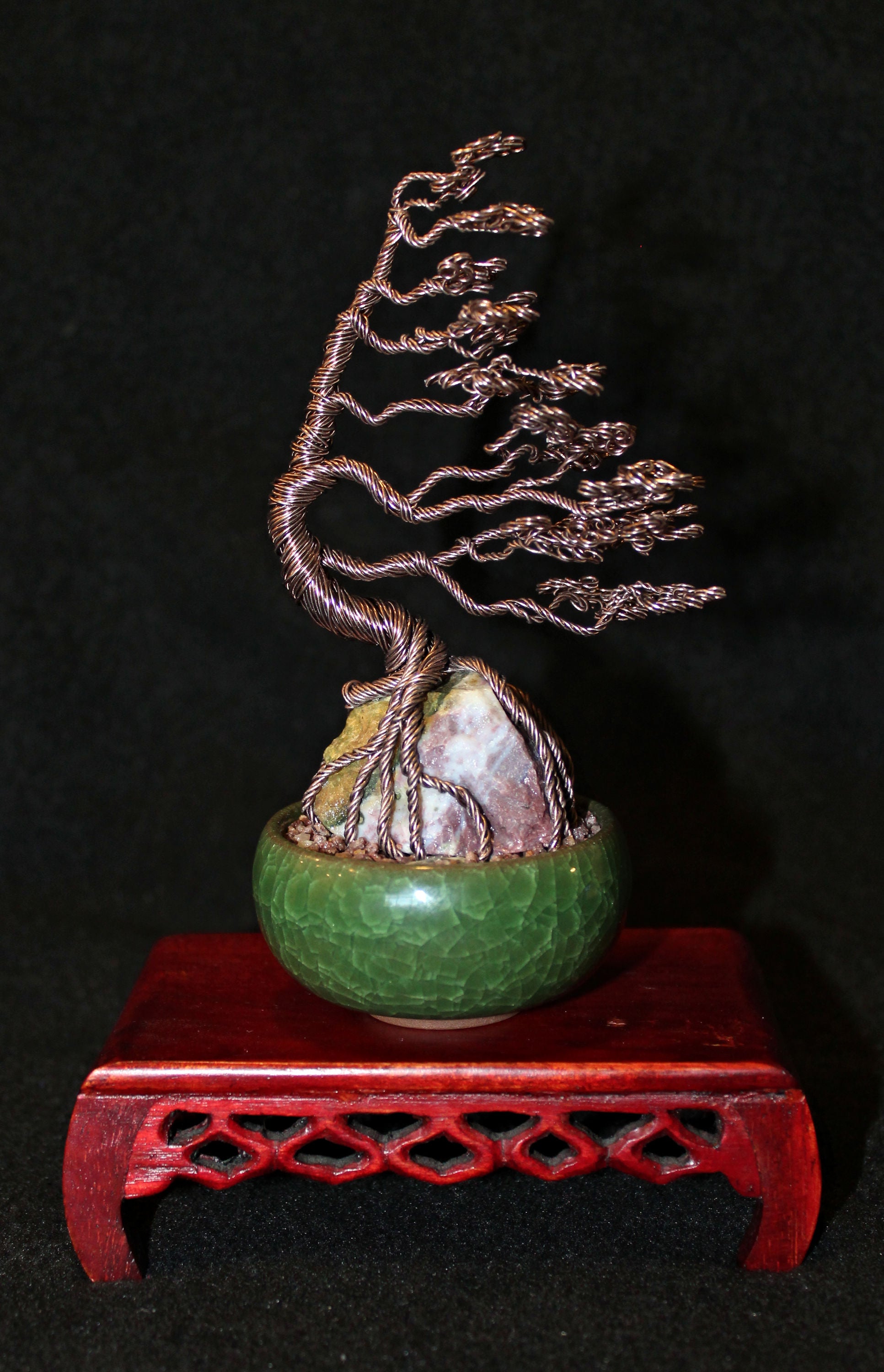 Windswept Bonsai Style