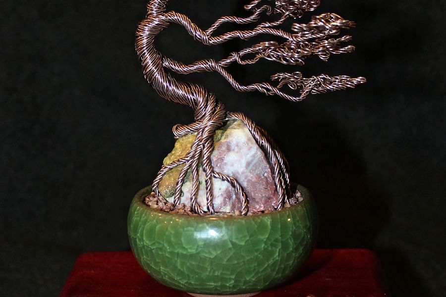 Windswept Bonsai Style