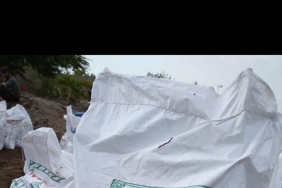 homemade organic fertilizer