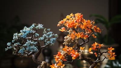 Bonsai Apple Tree vs Bonsai Orange Tree: A Comparison Guide
