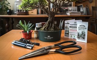 Bonsai Care Essentials: Basic Tools Every Bonsai Gardener Must Have