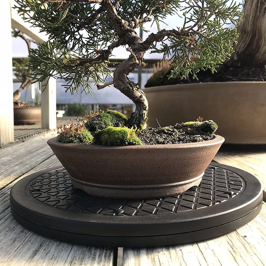 Bonsai artist using a bonsai turntable for meticulous tree care