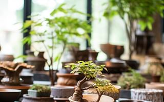 Bonsai Pots: The Perfect Match for Your Bonsai Tree