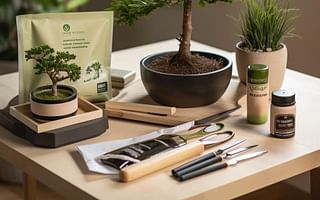 Bonsai Tree Kits: Starting Your Bonsai Journey Made Easy