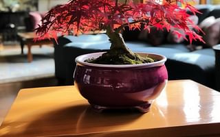 Japanese Maple Bonsai: A Stunning Focal Point for Your Indoor Garden