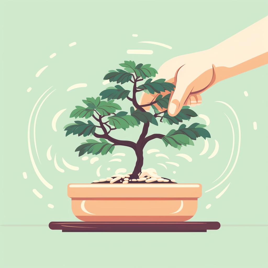 Hands gently planting a bonsai tree into a pot