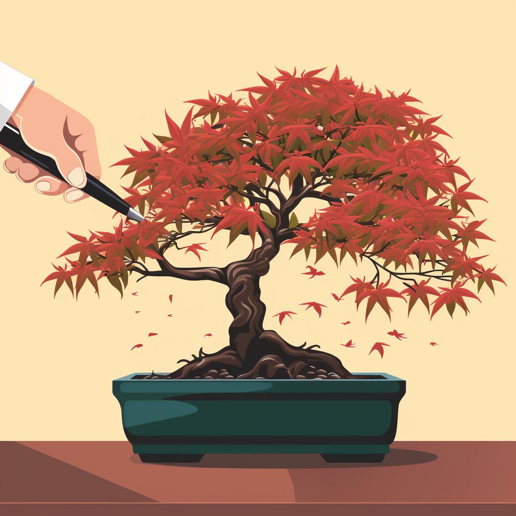 Hands using bonsai pruning scissors to cut a branch off a Japanese Maple Bonsai