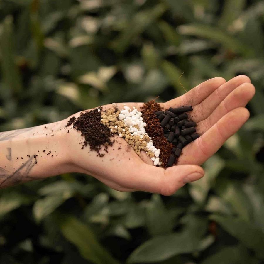 The Essentials of Bonsai Soil Mix What You Need to Know