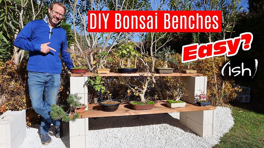 Person setting up a bonsai garden with various bonsai trees and gardening tools