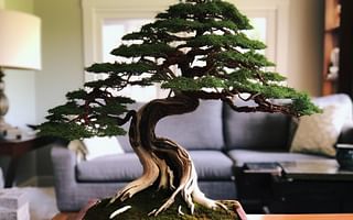 The Majesty of the Redwood Bonsai: A Miniature Giant in Your Home
