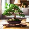 The Redwood Bonsai: A Majestic Miniature Forest in Your Home
