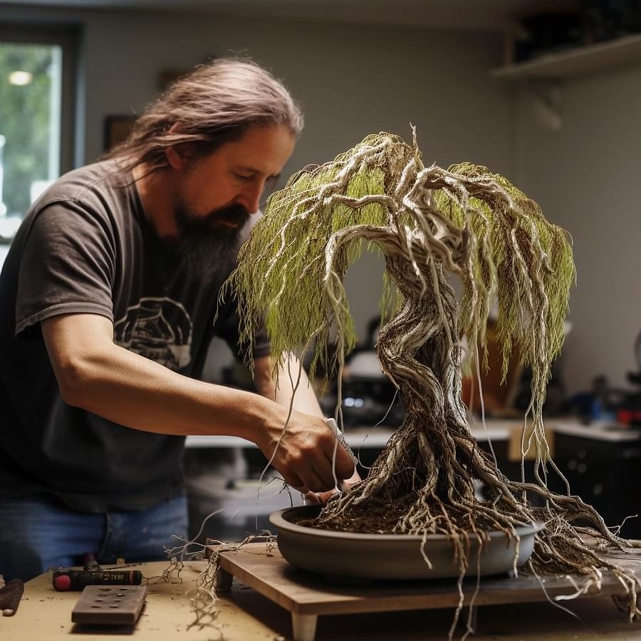 Weeping Willow Bonsai Creating a Miniature Riverside Scene