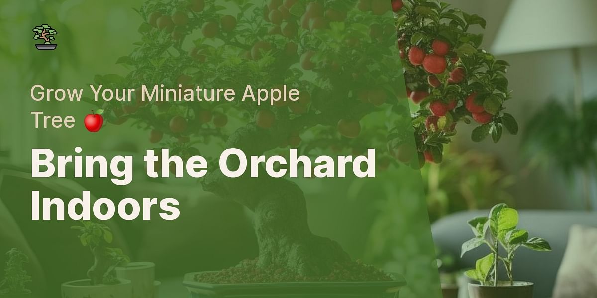 Decision Time For My 'Air-Pot Mini-Orchard' Apple Trees