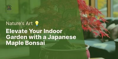 Elevate Your Indoor Garden with a Japanese Maple Bonsai - Nature's Art 💡
