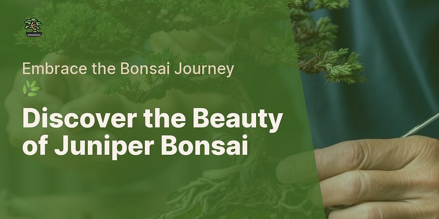 Discover the Beauty of Juniper Bonsai - Embrace the Bonsai Journey 🌿