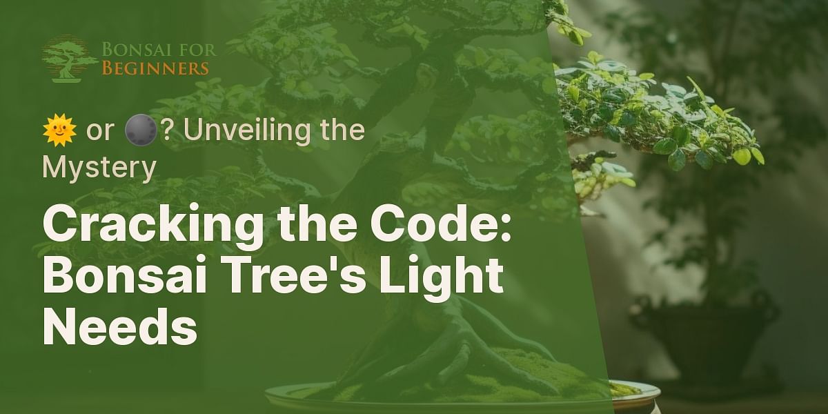 Sun or Shade? Understanding the Light Requirements of a Bonsai Tree