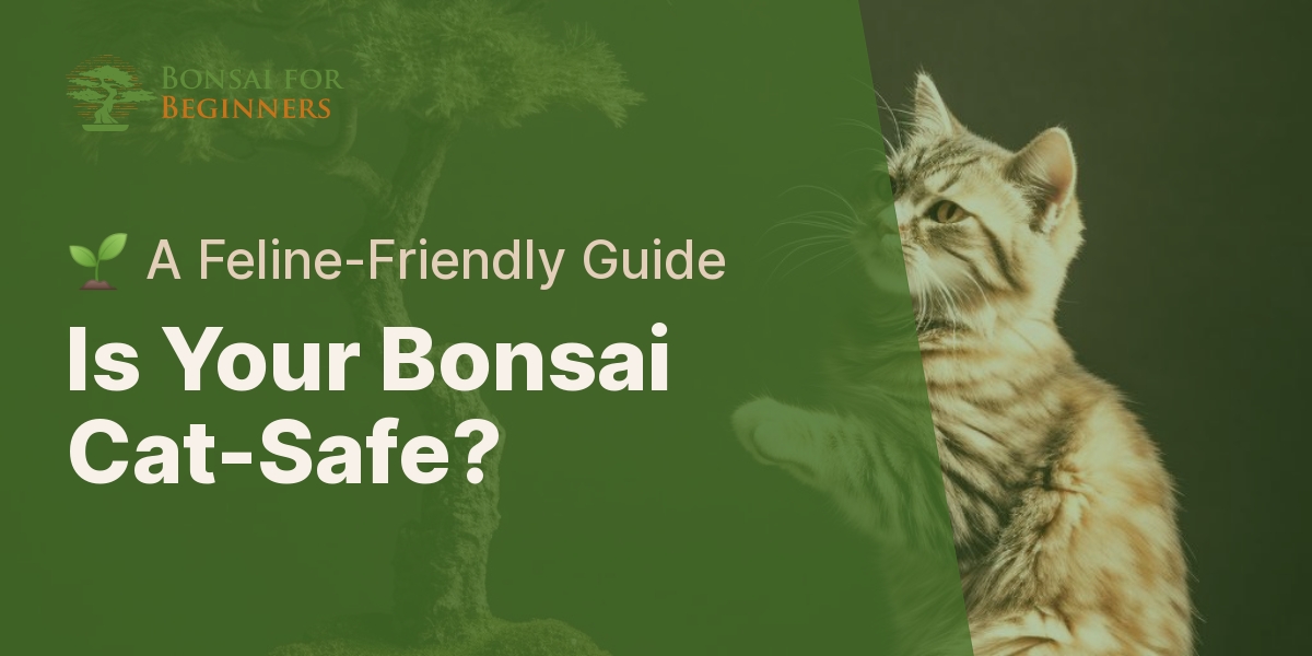 Bonsai toxic clearance to cats