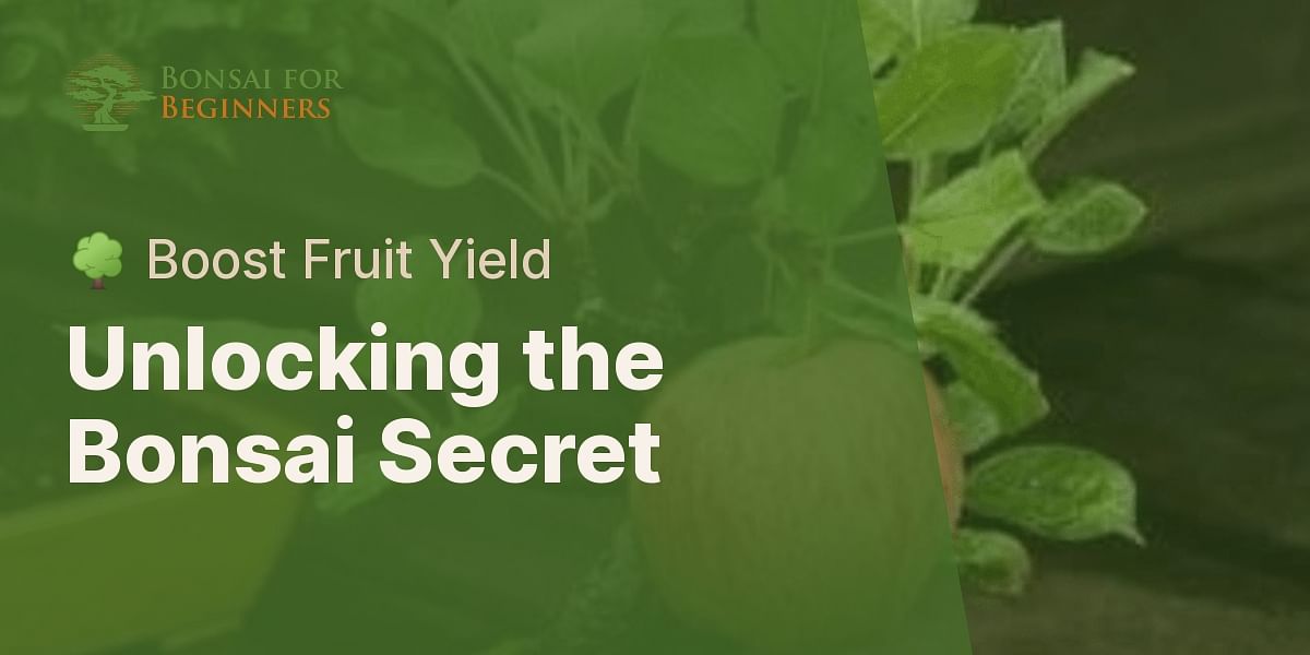 Does using traditional bonsai techniques affect a fruit tree's ability