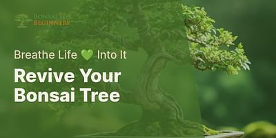 Revive Your Bonsai Tree - Breathe Life 💚 Into It
