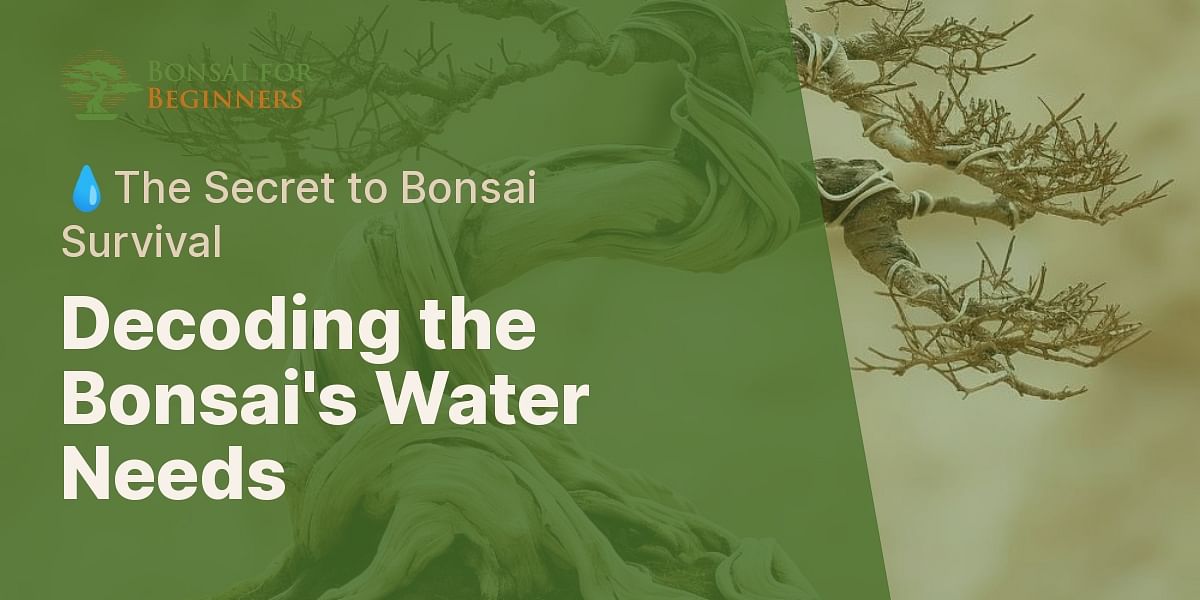How long can a bonsai tree go without water?