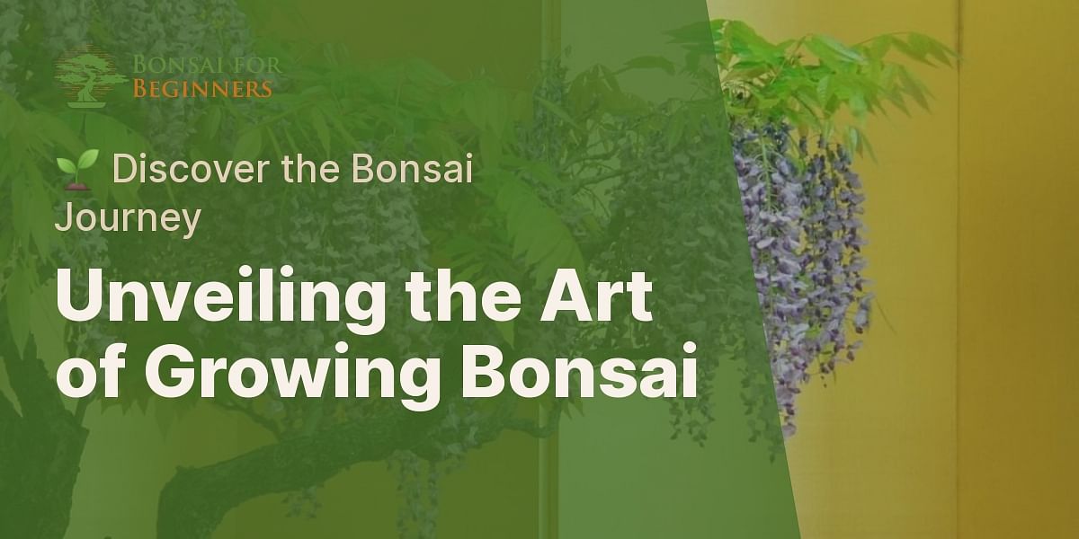 How long does it take to grow a bonsai tree from a seed?