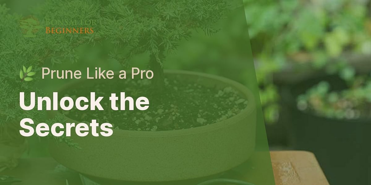 How often should you prune your bonsai tree?