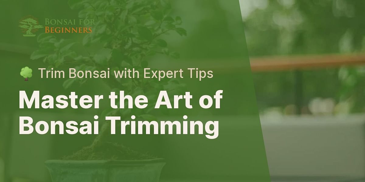 How to trim a bonsai tree?