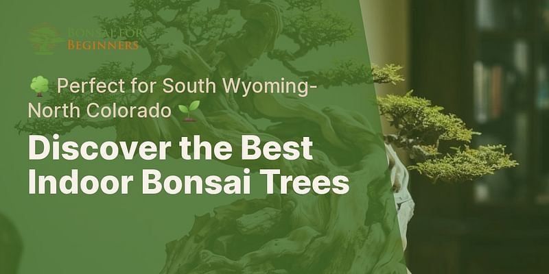 Discover the Best Indoor Bonsai Trees - 🌳 Perfect for South Wyoming-North Colorado 🌱