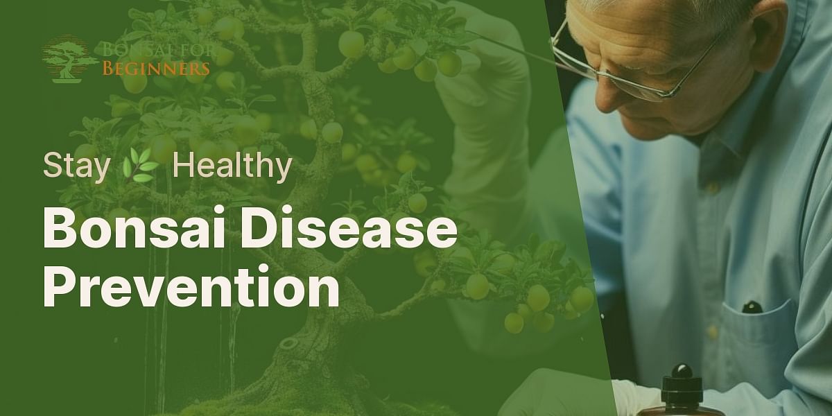 What are the common bonsai diseases and how can they be prevented?
