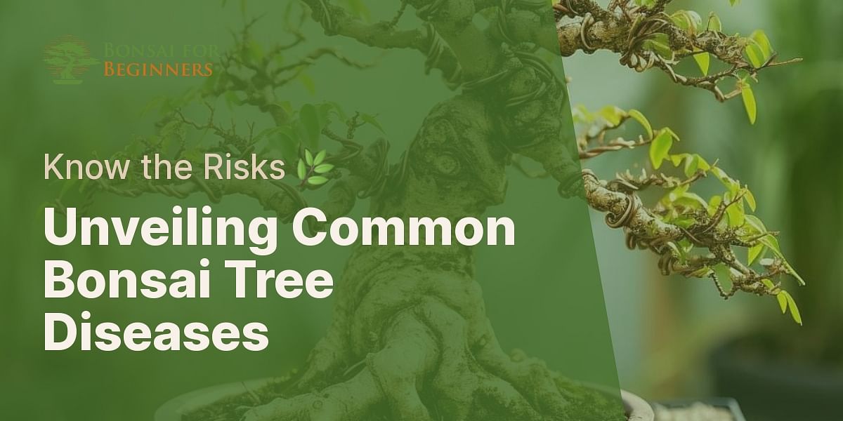 What are the common diseases found on bonsai trees?