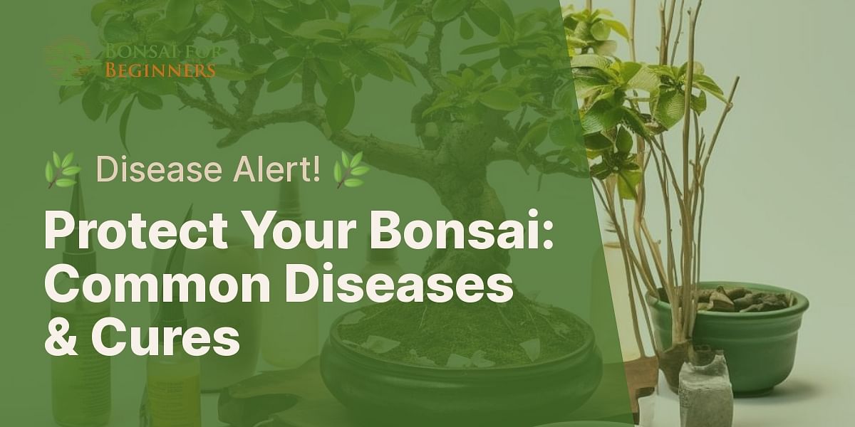 What are the common diseases that affect bonsai trees and how can they