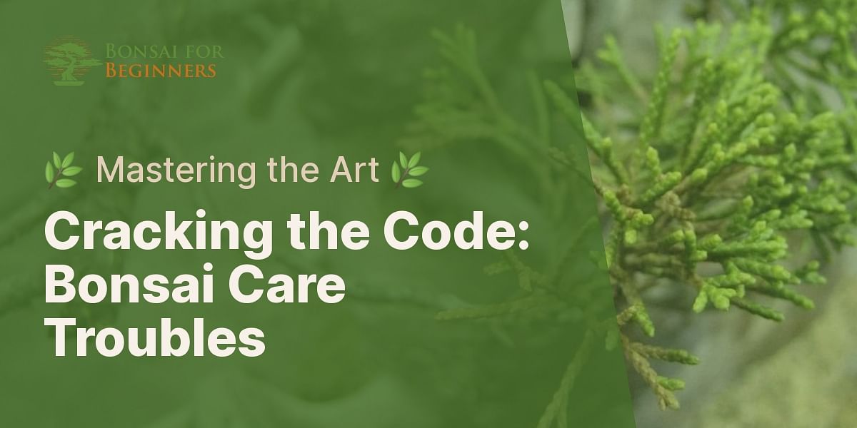 What are the most common problems faced when taking care of bonsai trees?