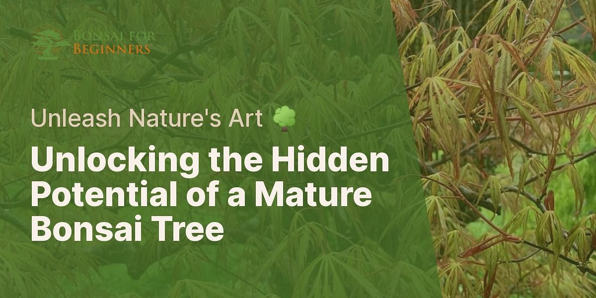 What happens if you allow a mature bonsai tree to grow freely in the