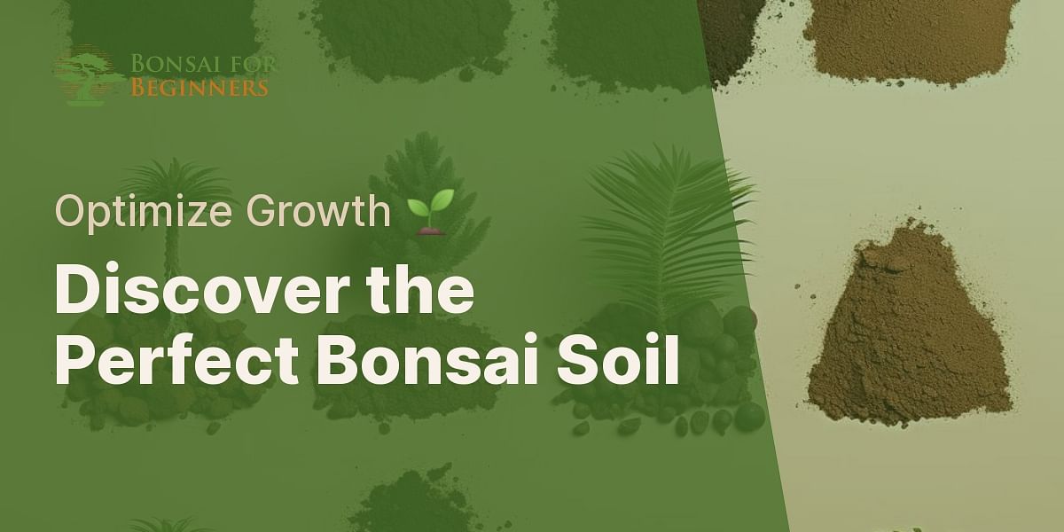 What is the best soil for bonsai trees?