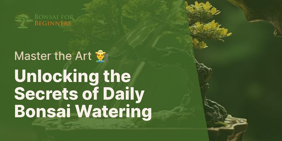 Why do bonsai trees need to be watered every day?