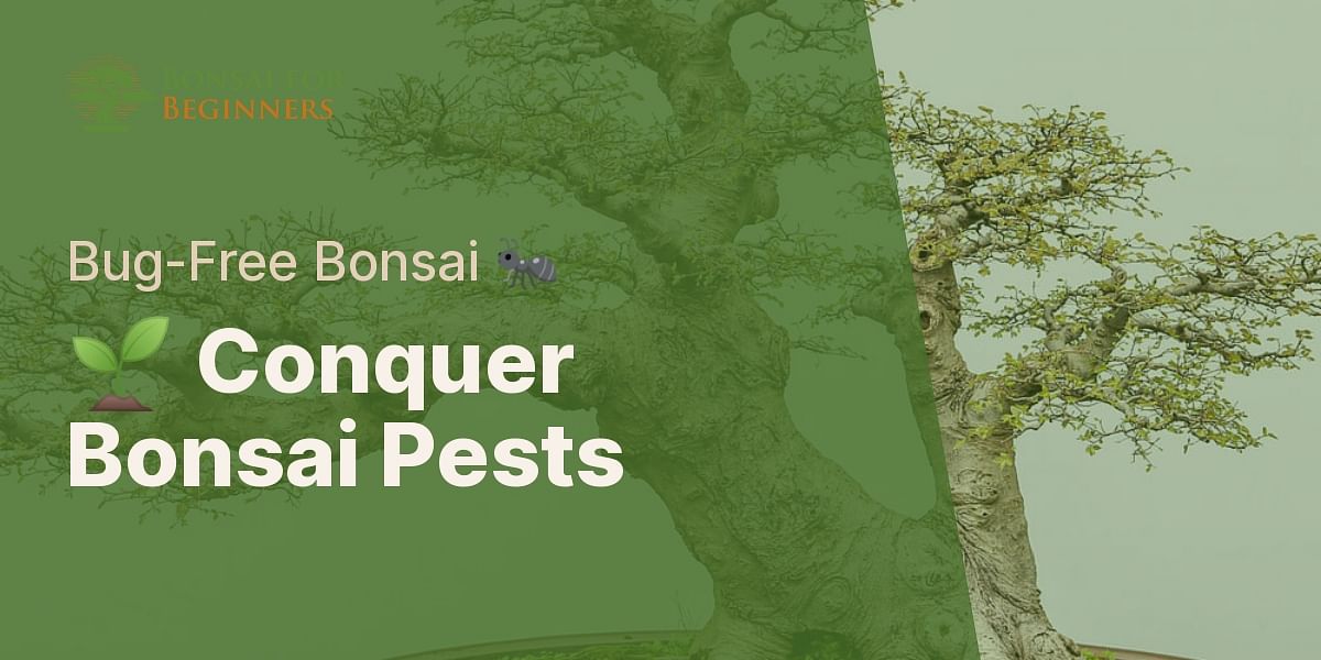 Mastering the Art of Bonsai Pest Control Bonsai for Beginners
