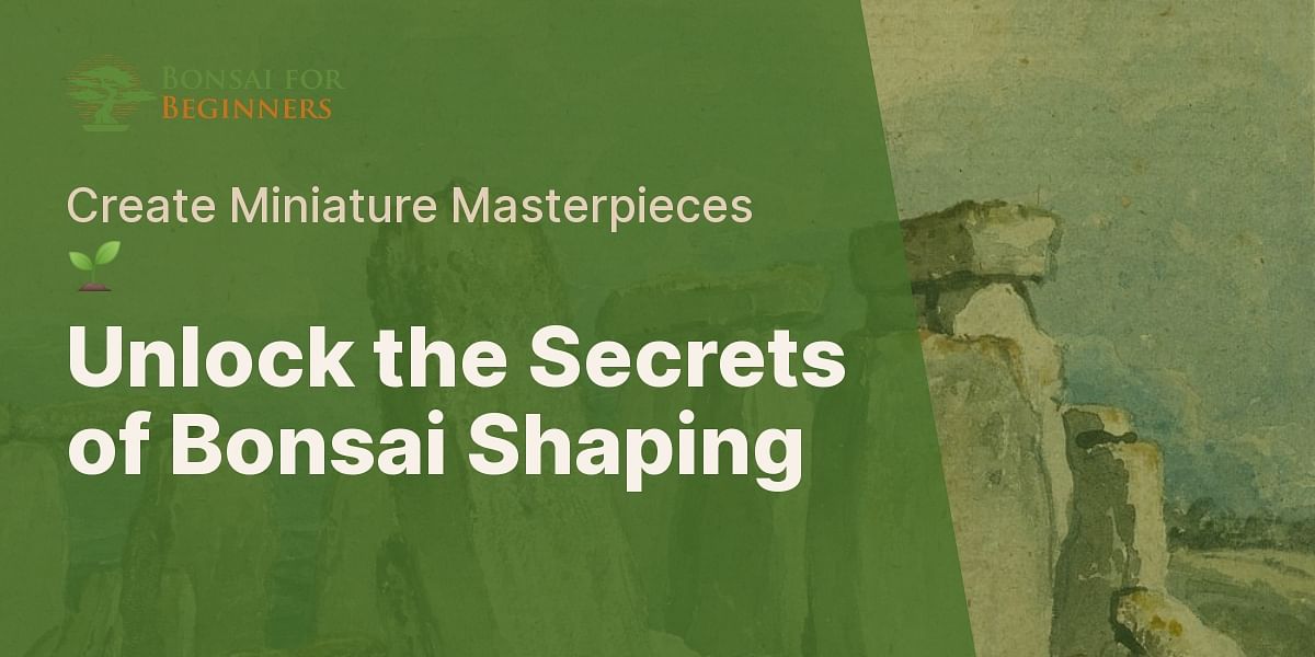 Mastering the Art of Bonsai Shaping Bonsai for Beginners