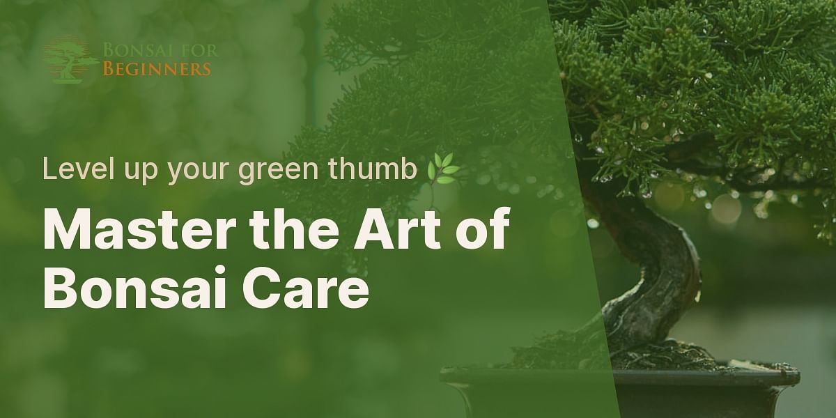 The Ultimate Guide to Treating Bonsai Diseases Bonsai for Beginners