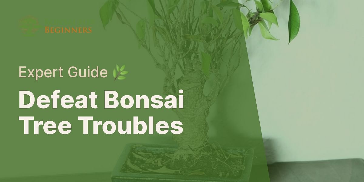 Treating Bonsai Tree Diseases and Pests A StepbyStep Guide