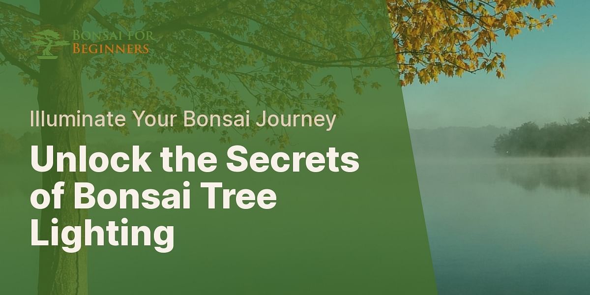 Understanding the Light Requirements of Bonsai Trees Bonsai for Beginners