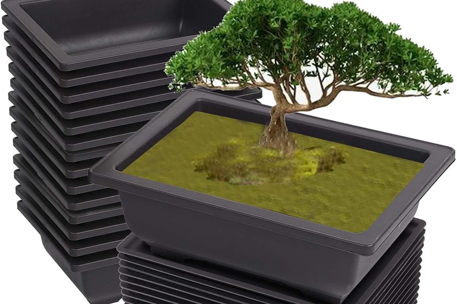 bonsai pot with good drainage