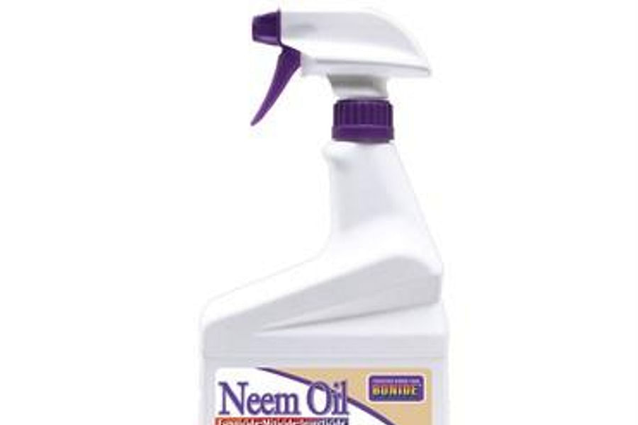 Neem oil for pest control