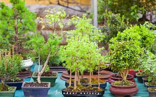 Can any plant be grown into a bonsai? Which plants work best?